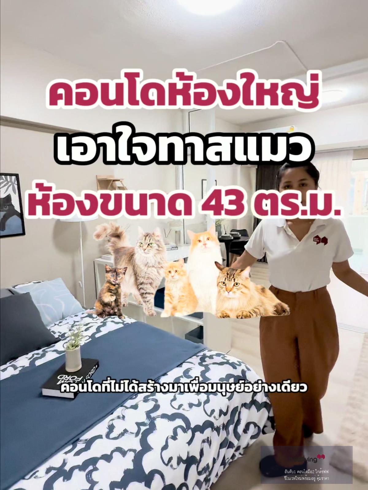 🐾 ห้องใหญ่เลี้ยงสัตว์ได้ ทำเลรัชดา พร้อมอยู่! - video