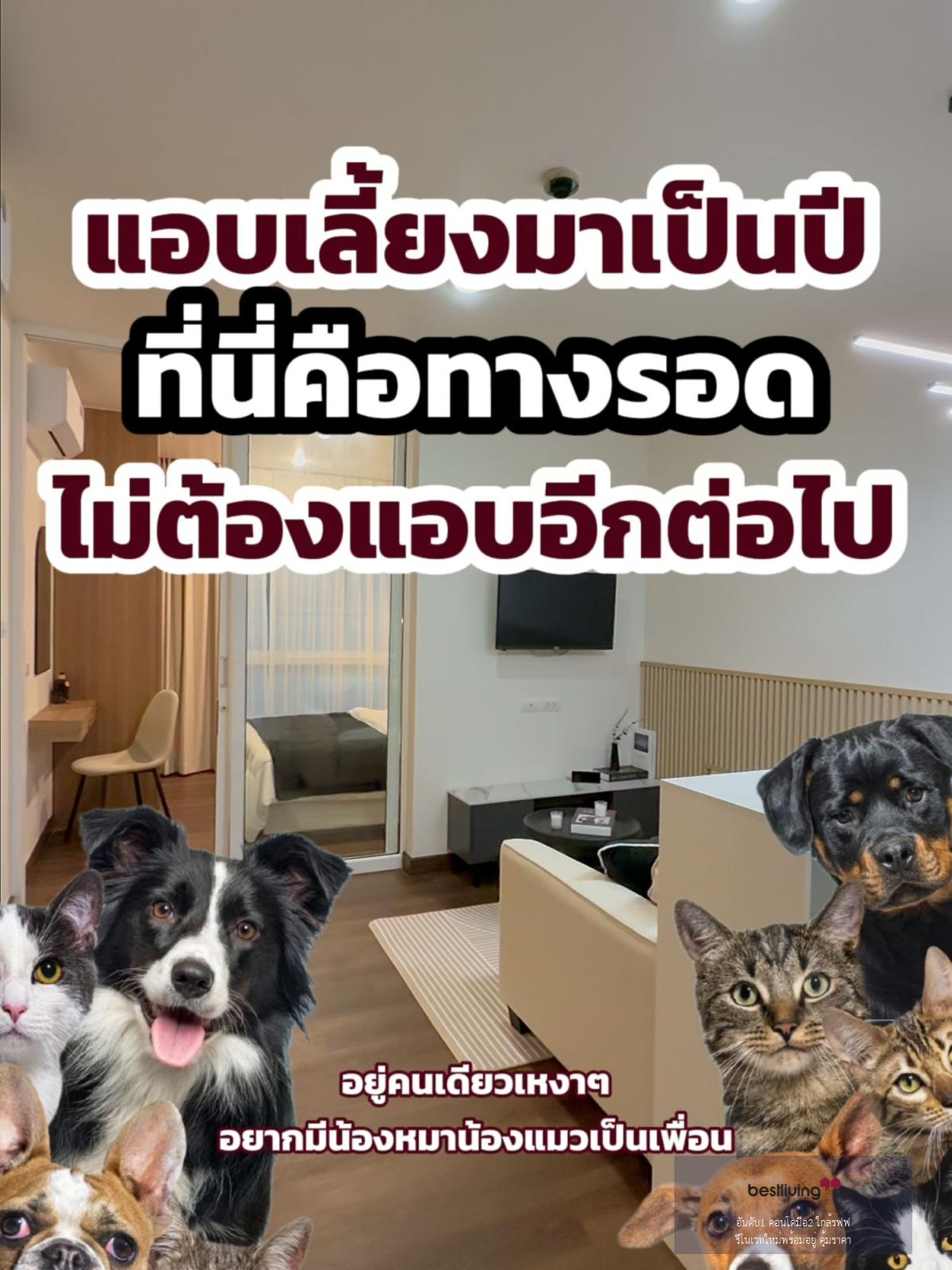 🐱🐶 ขายคอนโด Pet Friendly Happy Condo Ladprao 101 ใกล้ MRT สายสีเหลือง - video
