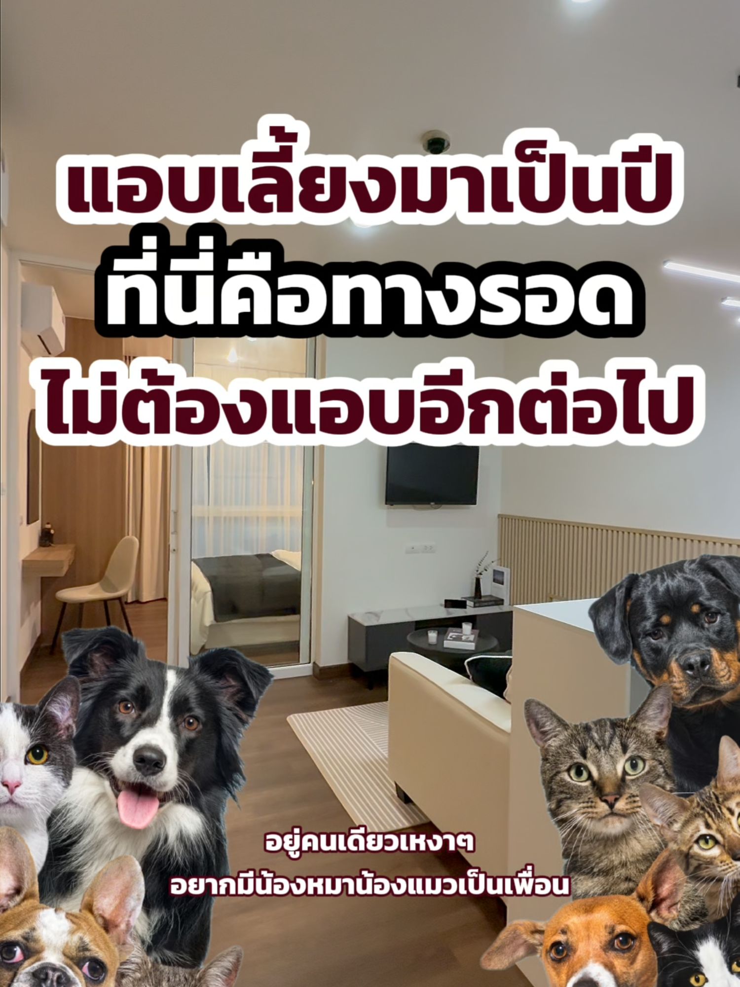 🐱🐶 ขายคอนโด Pet Friendly Happy Condo Ladprao 101 ใกล้ MRT สายสีเหลือง - video