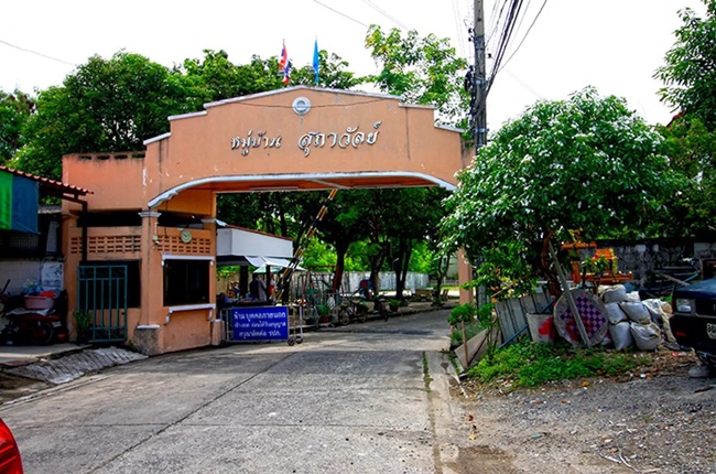 banner-project-details